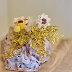 Christine's Seaview By Corfuescapes * Spartylas
